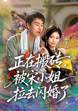 正在搬砖，被宋小姐拉去闪婚了